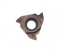 RT22.01N-4.50GM-YBG205 Пластина резьбовая ISO (Метрическая резьба) Trinix