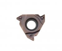 RT22.01N-4.00GM-YBG205 Пластина резьбовая ISO (Метрическая резьба) Trinix